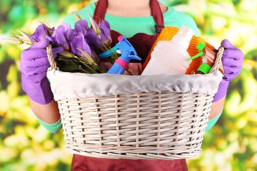 Housewife holding basket with cleaning equipment on bright backg