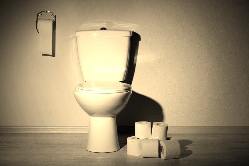 bigstock-Toilet-bowl-and-toilet-paper-i-46568668 (1)