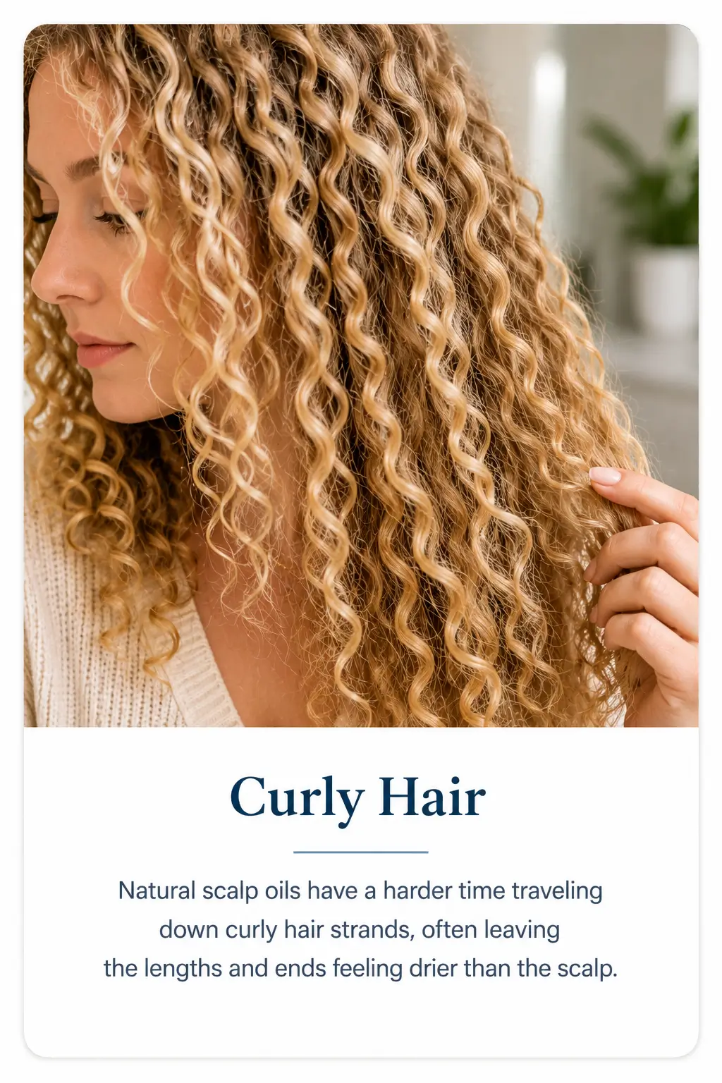 Blonde ringlet curls illustrating how curly hair can have dry lengths despite an oily scalp