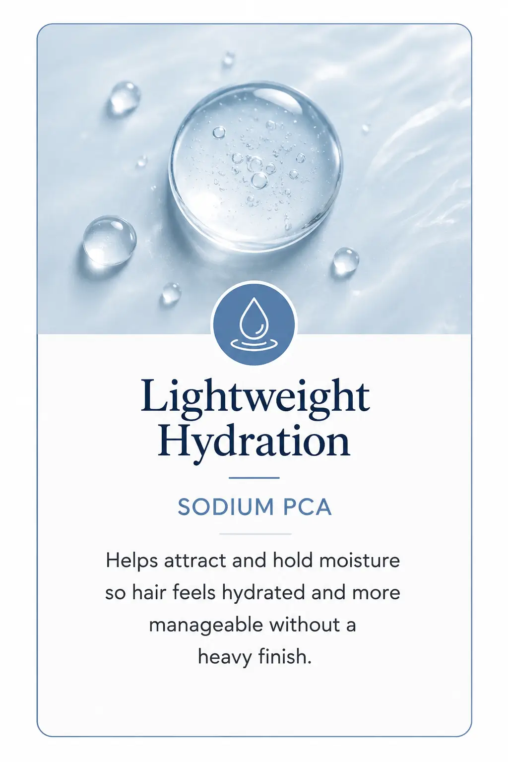 Sodium PCA ingredient card explaining lightweight hydration and improved hair manageability without a heavy finish.