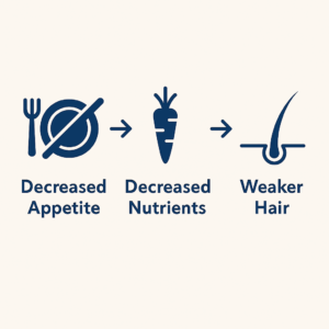 Illustration showing reduced food intake and weakened hair strands, representing how decreased nutrients from appetite loss can cause hair thinning.